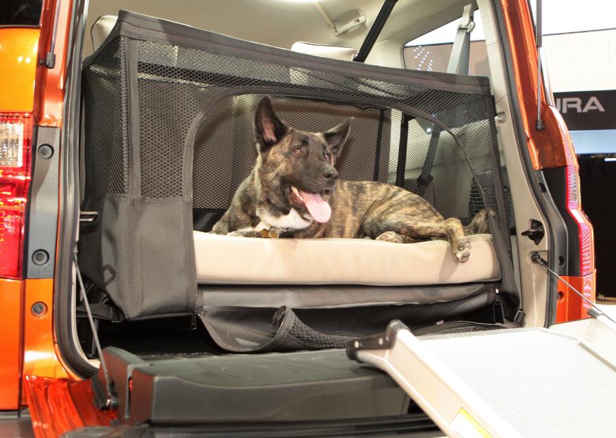  Honda Element Concept Dog Friendly 2010 года  (фото 3 из 16)